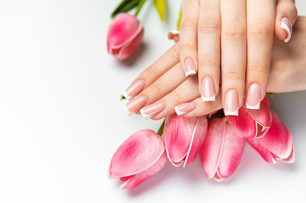 Woman showing french manicure and pink tulips on white backgroun
