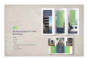 Multipurpose Business Brochure, a Brochure Template by ShapShapy (Thumbnail 2 of 20)