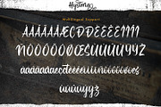 Hysteria - Stylish Script Font, a Script Font by StringLabs (Thumbnail 8 of 8)