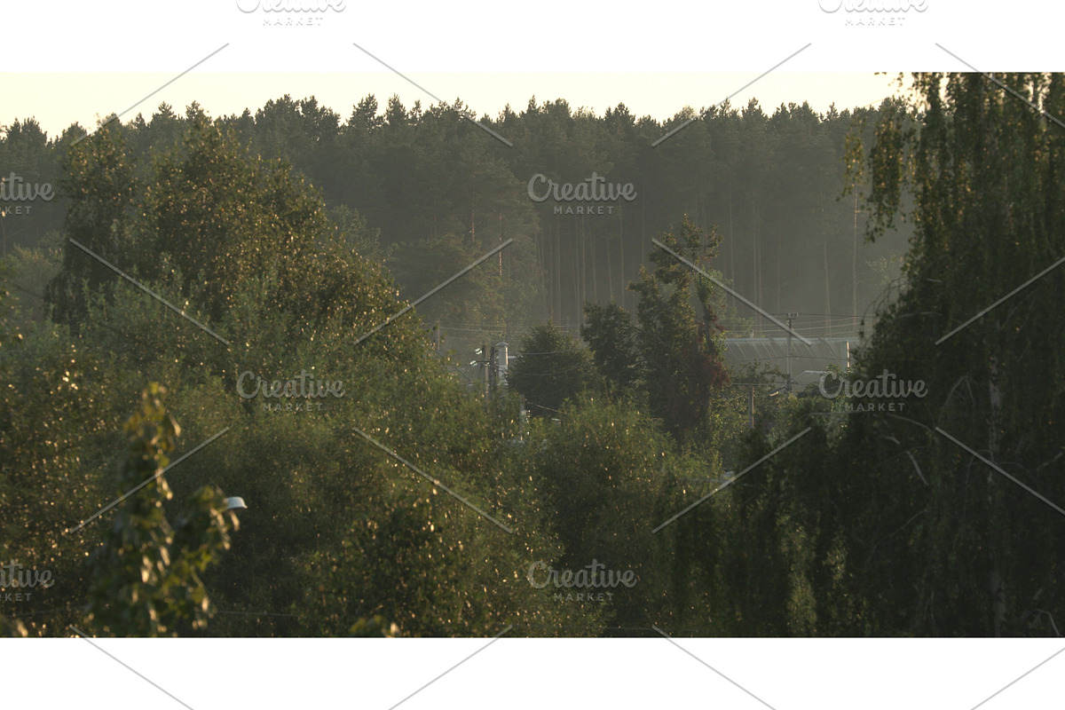 Smoke in village, Dry Grass Burns, a Graphic by Our Amazing World (Photo 1 of 2)