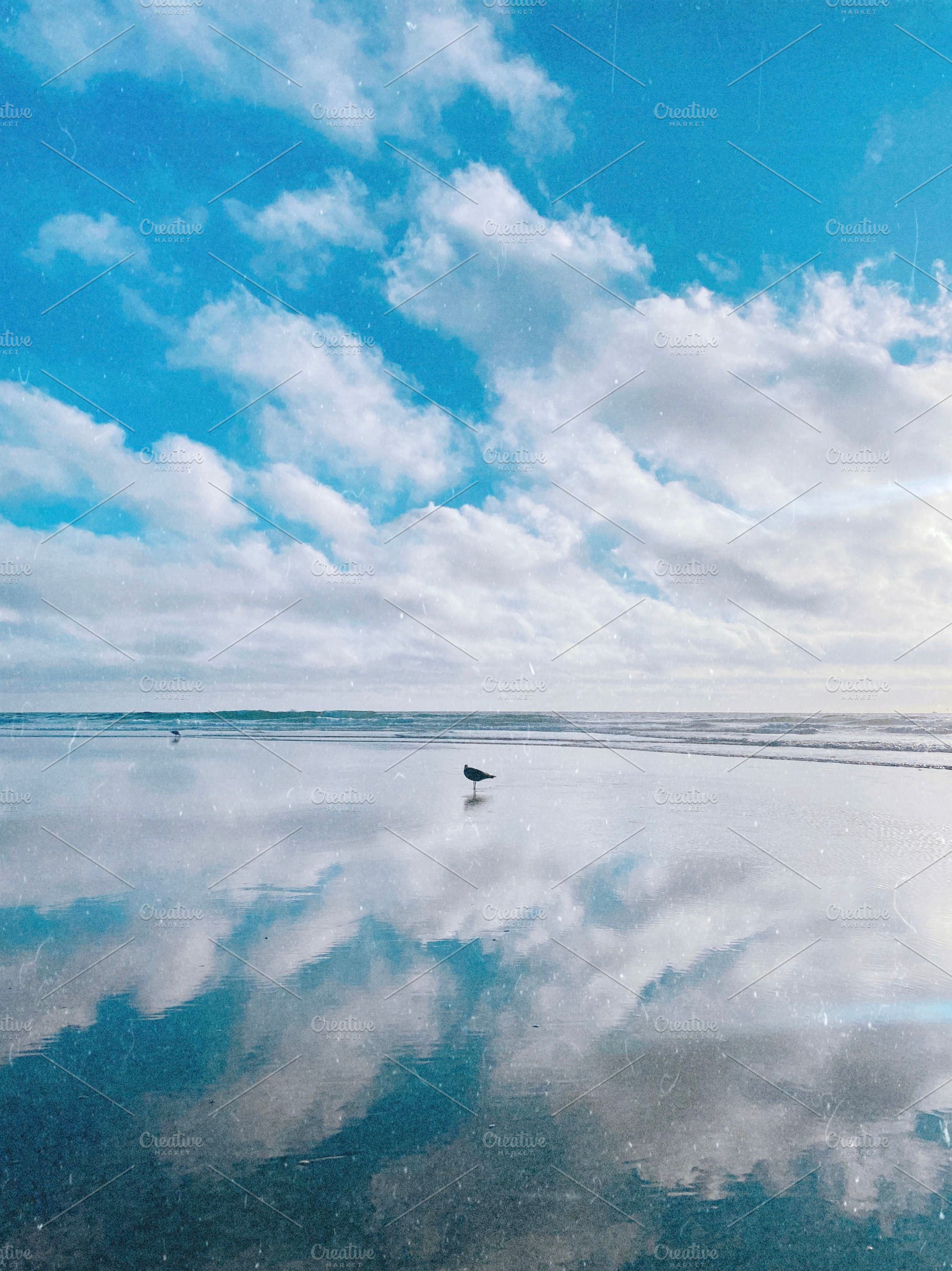 Nature is a mirror of ourselves, a Nature Photo by ARTPLAY STUDIO