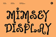 CS Mimsey – Decorative Font, a Handwritten Font by Craft Supply Co. (Thumbnail 1 of 8)