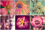 iseeyouphoto SUPAFLORA preview 4