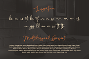 Rethinker - Stylish Signature, a Script Font by Dumadistyle (Thumbnail 4 of 9)