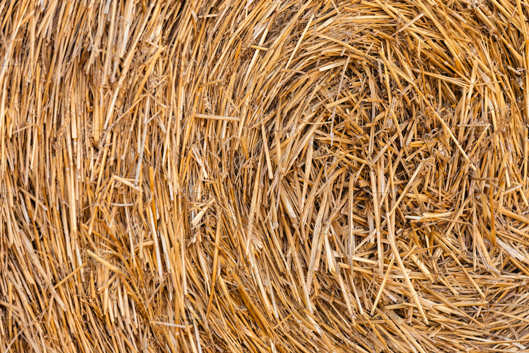 Detailed close-up of rolled straw bale showing natural golden texture. Ideal fo, a Nature Photo by Ales Munt