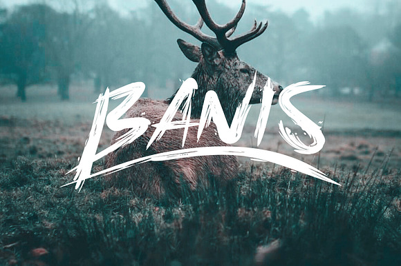 Banis Bush Font preview 8