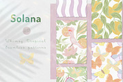 Solana Seamless Patterns Vol 2, a Pattern Graphic by mila_leev (Thumbnail 1 of 15)