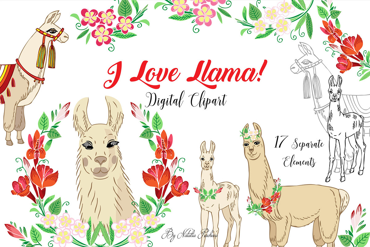 Llama Clipart with red flowers, an Animal Illustration by Nataliapiache (Photo 1 of 5)