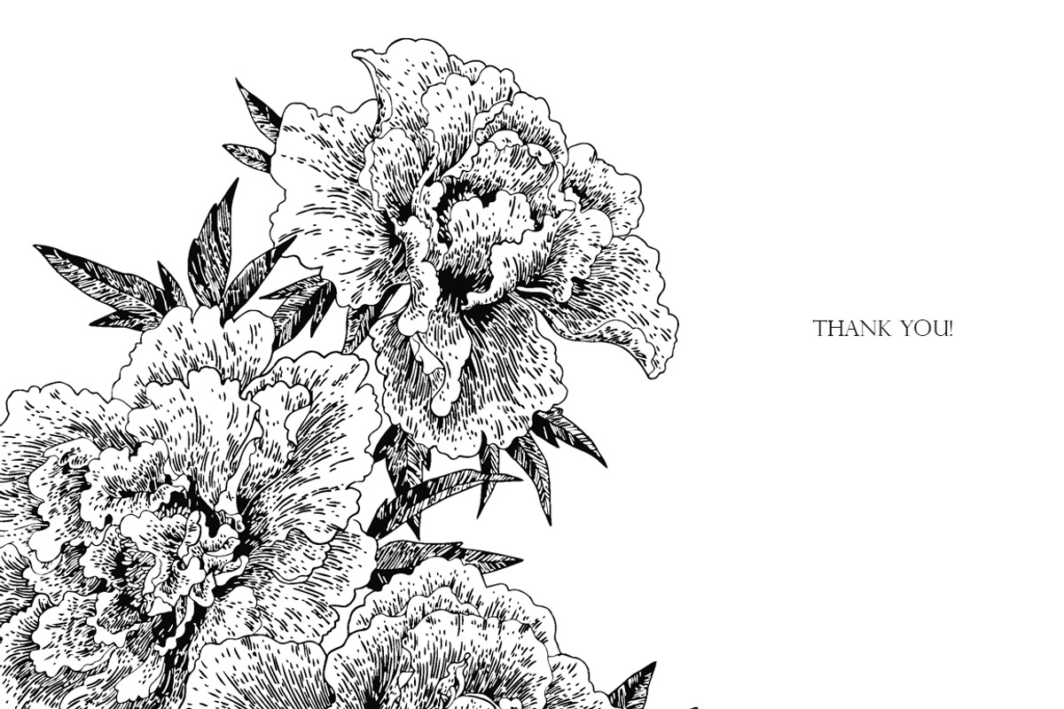 Peonies Line Art, a Decorative Illustration by Anastasia (Photo 9 of 9)