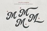 Legend Script, Sans & Serif (Soft), a Script Font by Andrey Sharonov (Thumbnail 13 of 19)