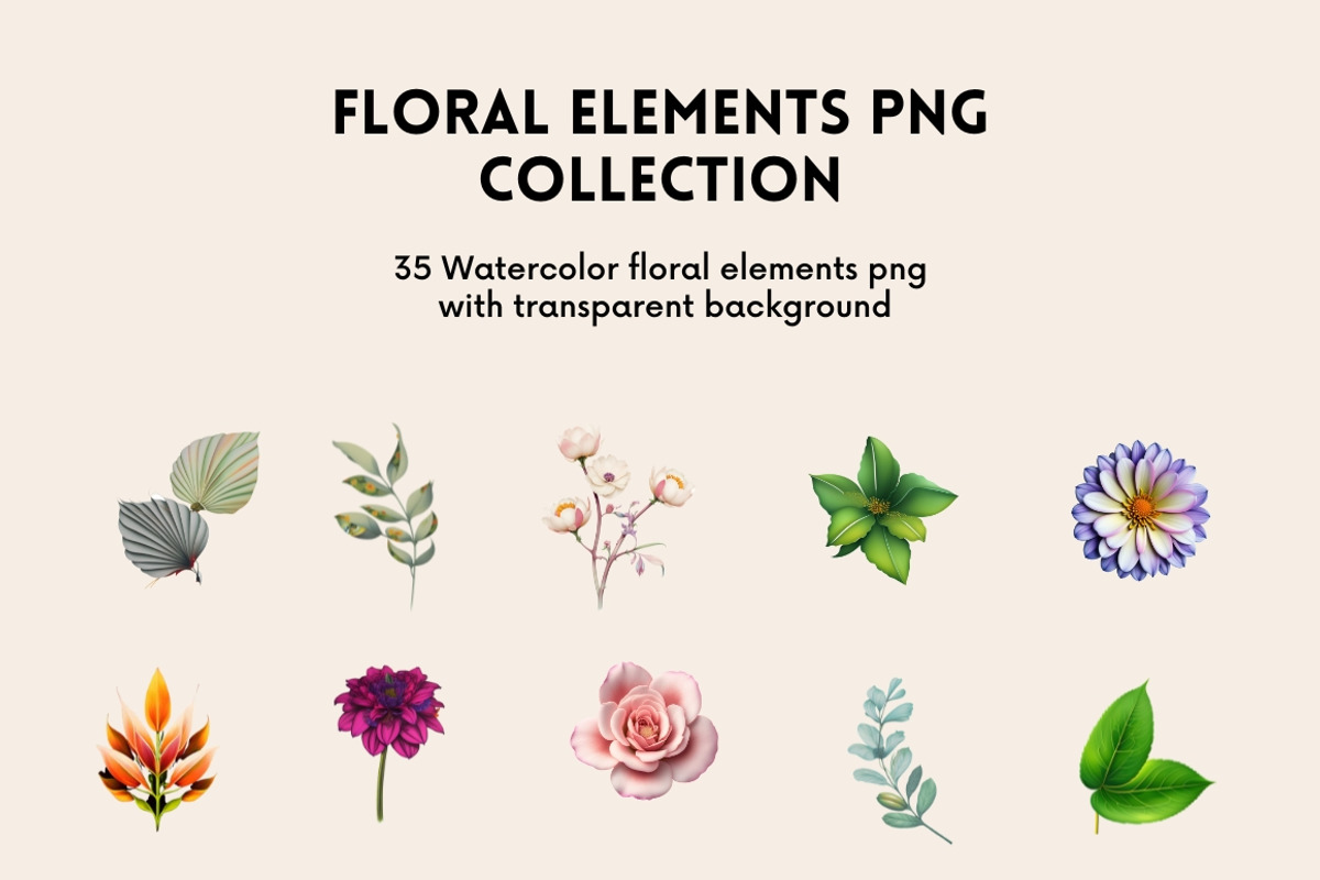 183+ Flowers & Elements Collection, an Illustration by AN Productions (Photo 7 of 17)