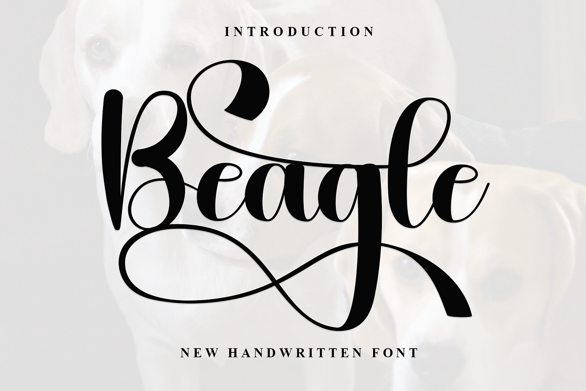 Beagle, a Font by InermediaSTUDIO (Photo 1 of 8)