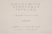 Stolid - modern script font, a Script Font by Only Fonts (Thumbnail 8 of 10)