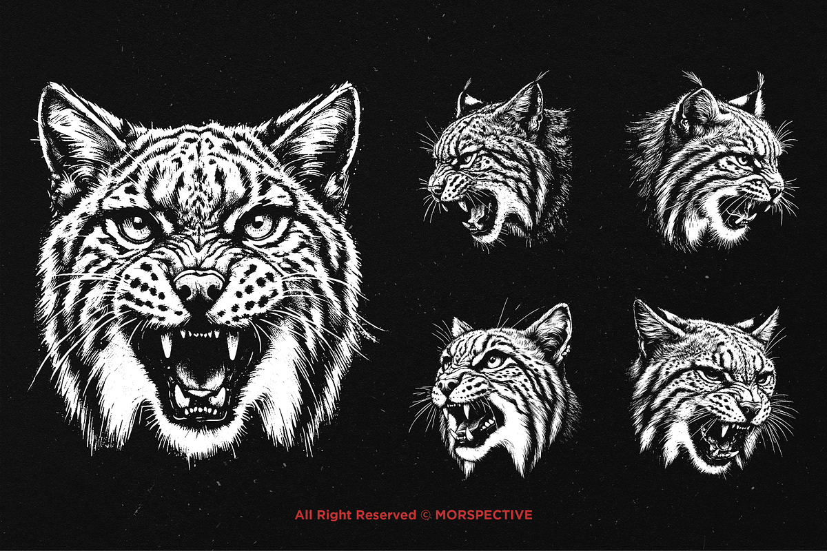 10 Bundle Dark Art Bobcat Lynx Tiger, an Illustration by Morspective (Photo 5 of 7)