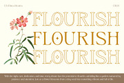 CS Flora Drawn, a Serif Font by Craft Supply Co. (Thumbnail 5 of 8)