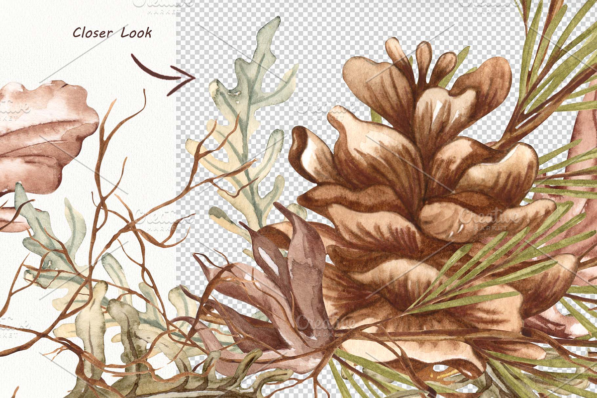 Watercolor Botanical Forest Set, an Animal Illustration by BarvArt (Photo 17 of 20)