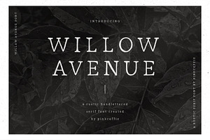 Willow Avenue Hand Lettered Serif