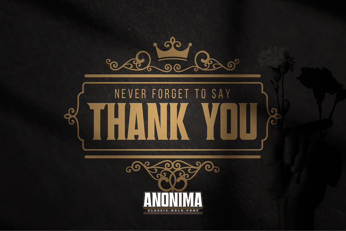 ANONIMA - Classic Bold Font, a Sans Serif Font by Gassstype (Photo 10 of 10)