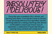 TAN - REQUIEM, a Serif Font by TanType (Thumbnail 8 of 11)