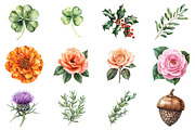 Vintage Botanical Clipart, an Illustration by CitraGraphics (Thumbnail 2 of 4)