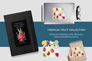 Tropical Fruit Clipart & Patterns, a Decorative Illustration by StudioLapis (Thumbnail 3 of 6)