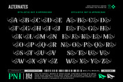 Soullar Typeface, a Serif Font by alit design (Thumbnail 7 of 20)