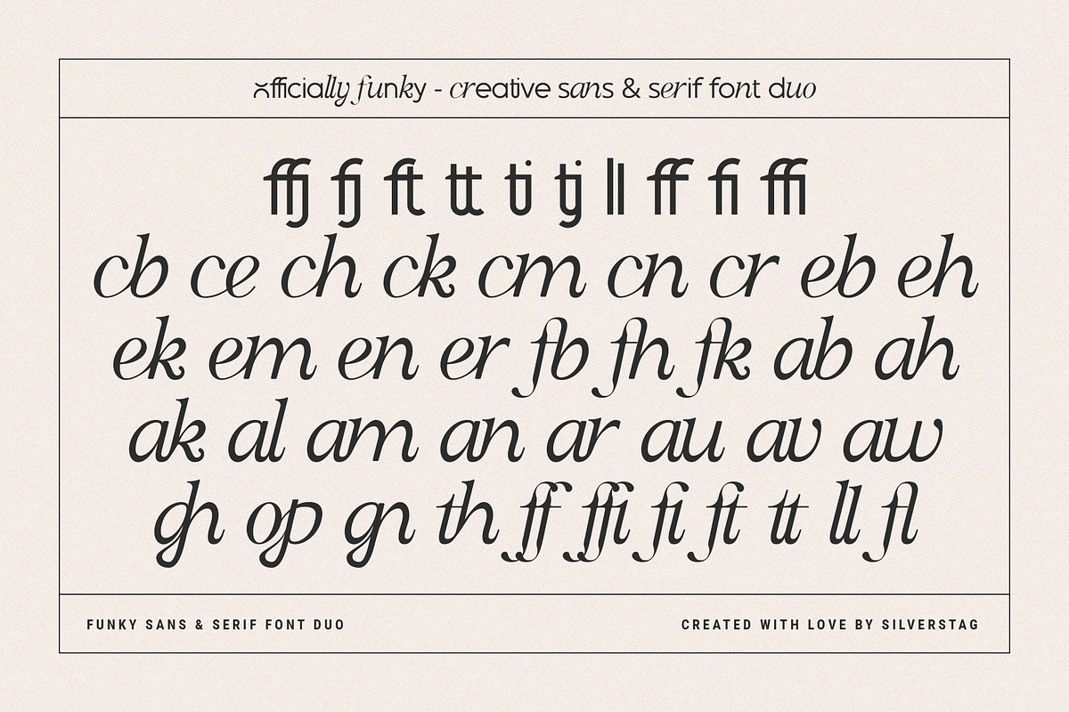 Officially Funky - Modern Font Duo, a Sans Serif Font by SilverStag Type Foundry (Photo 17 of 17)