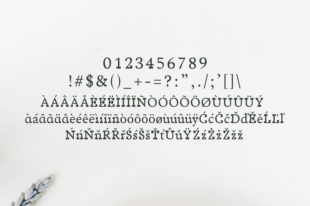 Sumer Fancy 3 Font Family preview 4