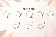 Background | Script Font, a Handwritten Font by Scratchones (Thumbnail 8 of 9)