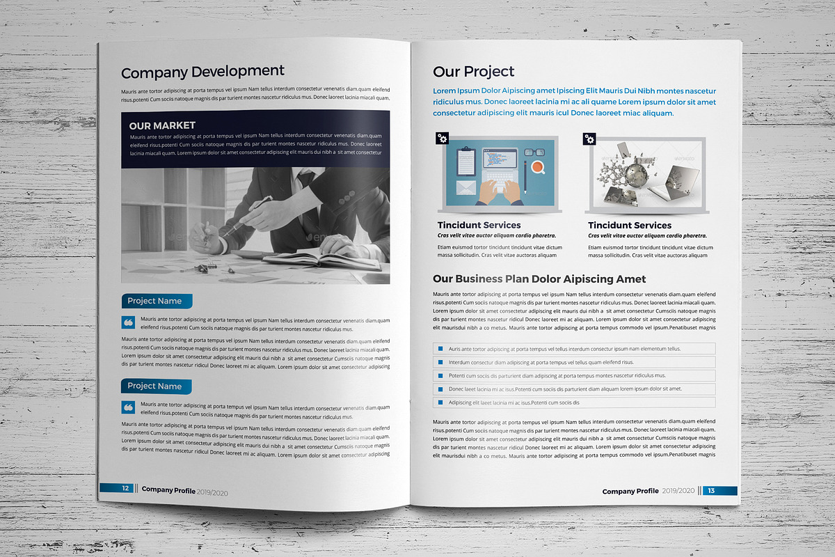 Company Profile Template V4, a Brochure Template by JanySultana (Photo 7 of 14)