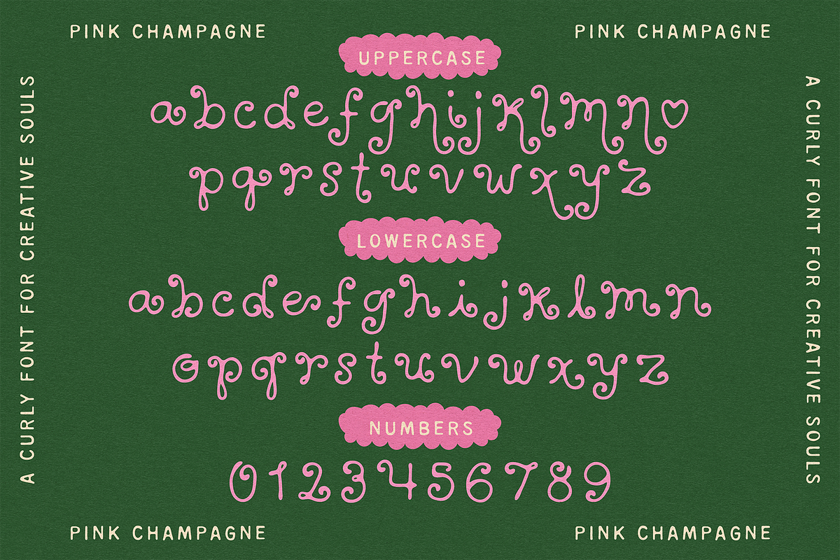 PINK CHAMPAGNE | CURLY SWIRLY FONT, a Handwritten Font by Maria Feliz Fonts (Photo 10 of 10)