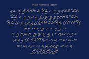 DT Escape Memories - Font Duo, a Serif Font by Dryy.type (Thumbnail 13 of 14)