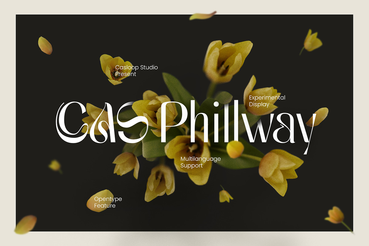 Cas Phillway Elegant Font, a Sans Serif Font by Casloop Studio (Photo 2 of 17)