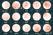 Texture Shader Brushes for Procreate, a Brush Add-On by Biso Studio (Thumbnail 5 of 6)