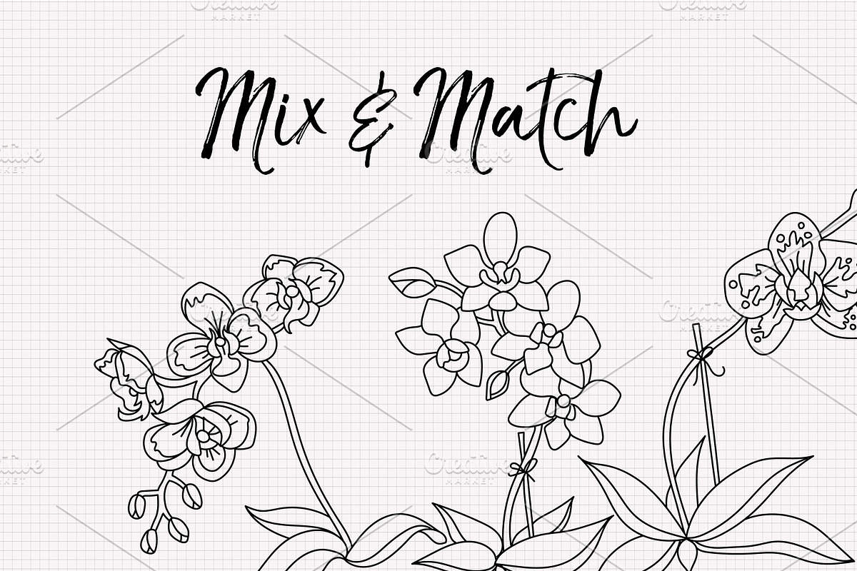 Inked Orchid Illustration Collection, an Illustration by Hannah Eliza Studio (Photo 3 of 4)