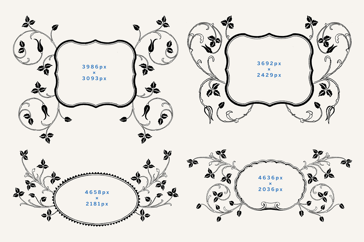 Romantic Vintage Floral Clipart, a Decorative Illustration by Century Library (Photo 6 of 10)