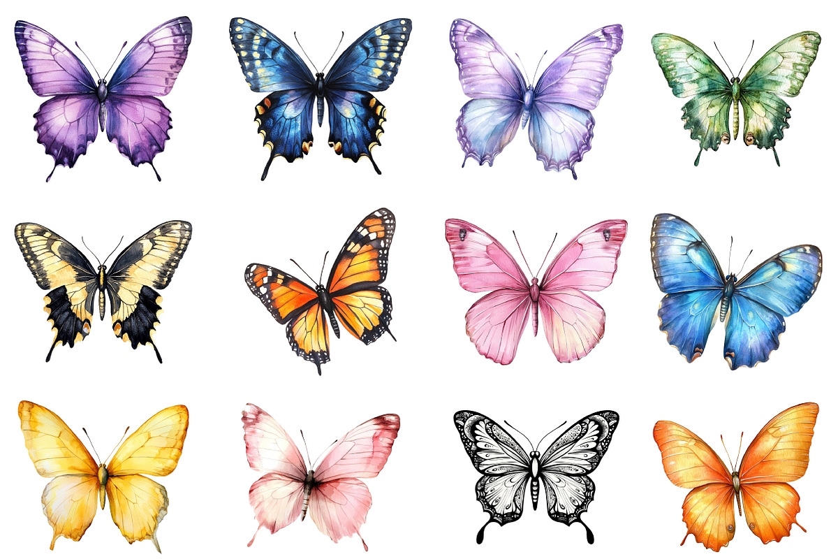 Watercolor Butterflies Clipart, an Illustration by SinaCreation (Photo 3 of 5)