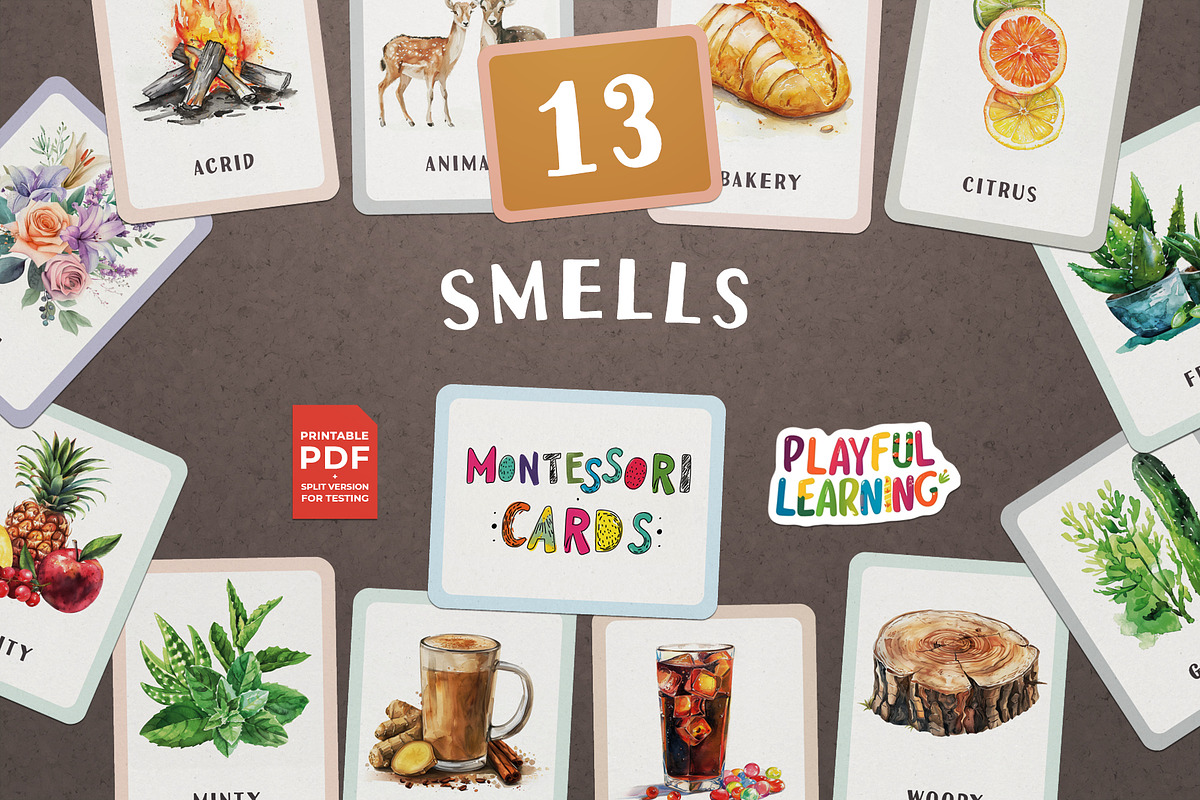 Smells Montessori Flash Cards, an Education Illustration by Pix Cafe (Photo 1 of 10)
