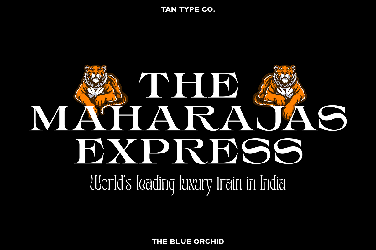 TAN - THE BLUE ORCHID, a Serif Font by TanType (Photo 10 of 12)