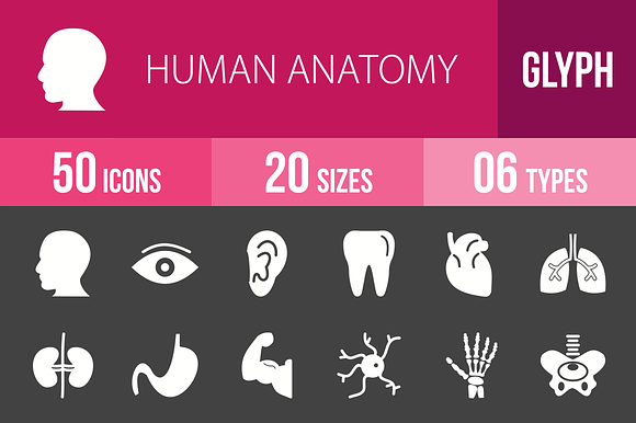 50 Human Anatomy Glyph Inverted Icon