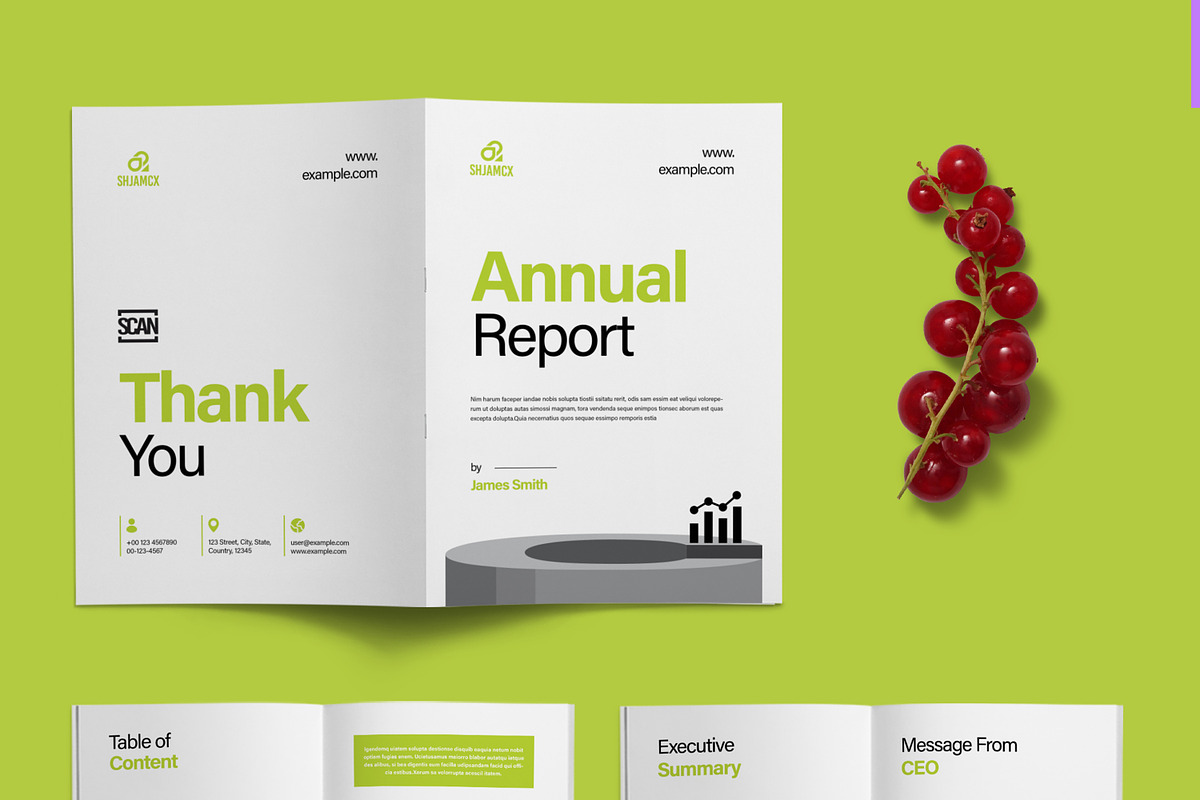 Company Annual Report, a Brochure Template by ContestDesign (Photo 2 of 4)