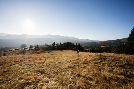 Children exploring a scenic countryside landscape with sunny skies, a Photo by AS photostudio