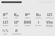 TT Moons, a Serif Font by TypeType (Thumbnail 11 of 12)