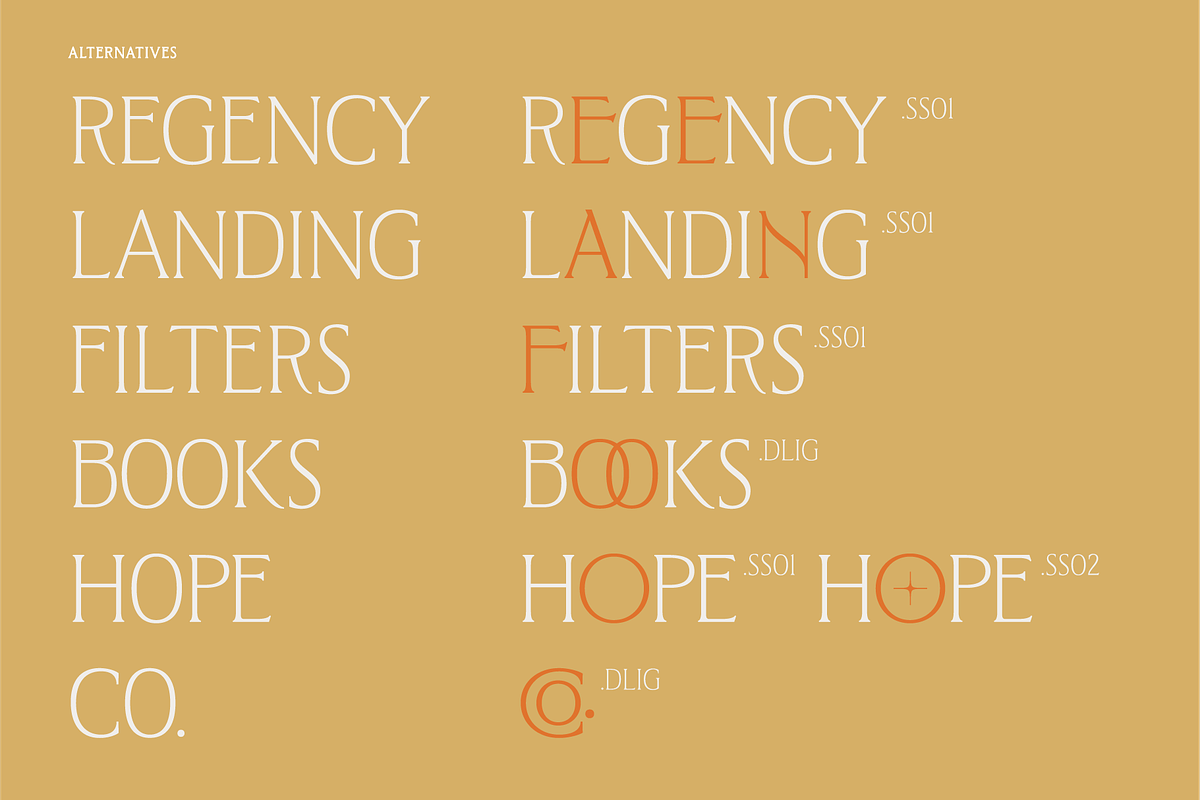West and Olives (6 fonts + variable), a Font by The Old Type Foundry (Photo 9 of 12)