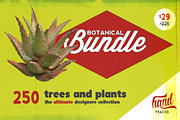 Botanical Bundle - 250 Plants *SALE*, an Object Graphic by envirographic (Thumbnail 1 of 6)