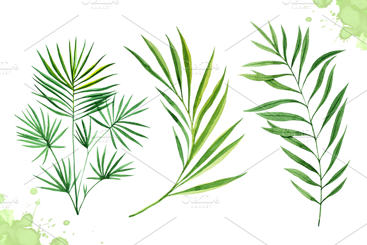 Watercolor tropical leaves set#2., a Decorative Illustration by AlexGreenArt (Photo 6 of 7)