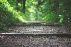 Foot Path