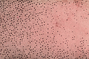 Texture of a pink surface with dots, a Photo by Beautiful things