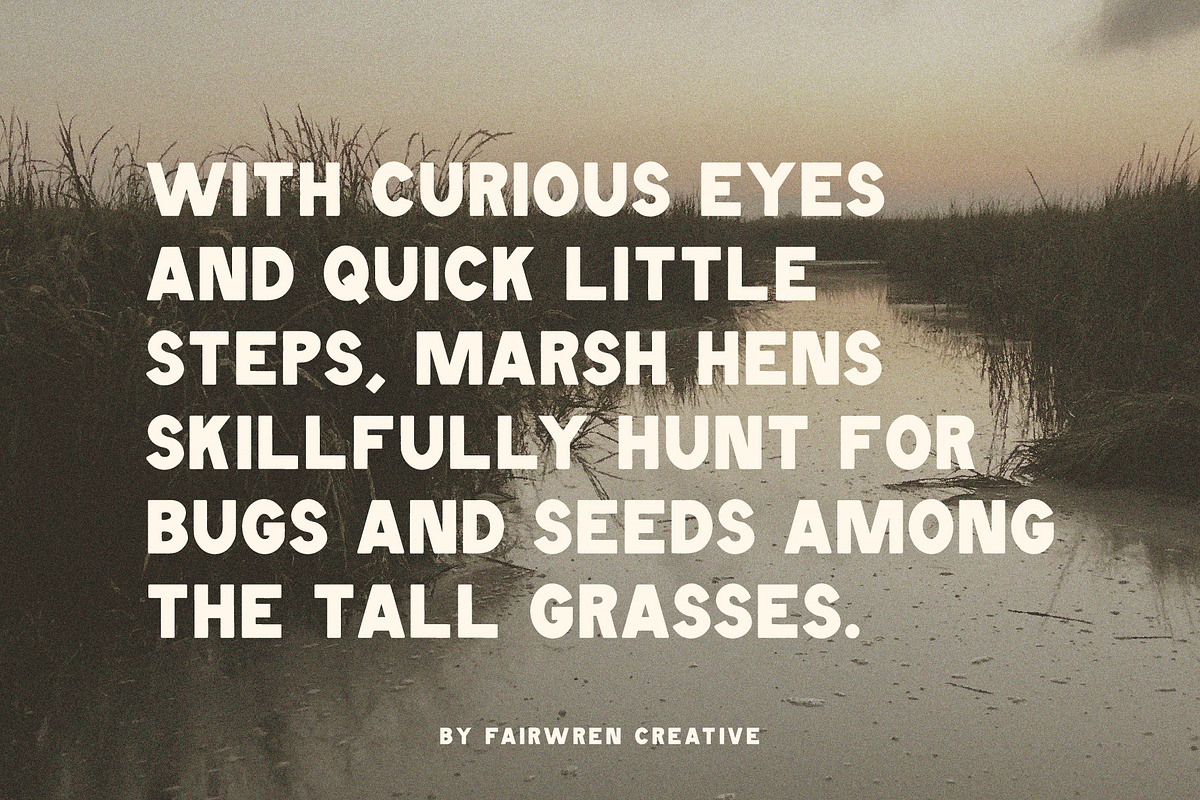 Marsh Hen Fonts, a Sans Serif Font by Fairwren Creative (Photo 3 of 7)