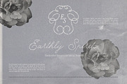 Something Else Textured Script, a Script Font by AnMark (Thumbnail 2 of 10)
